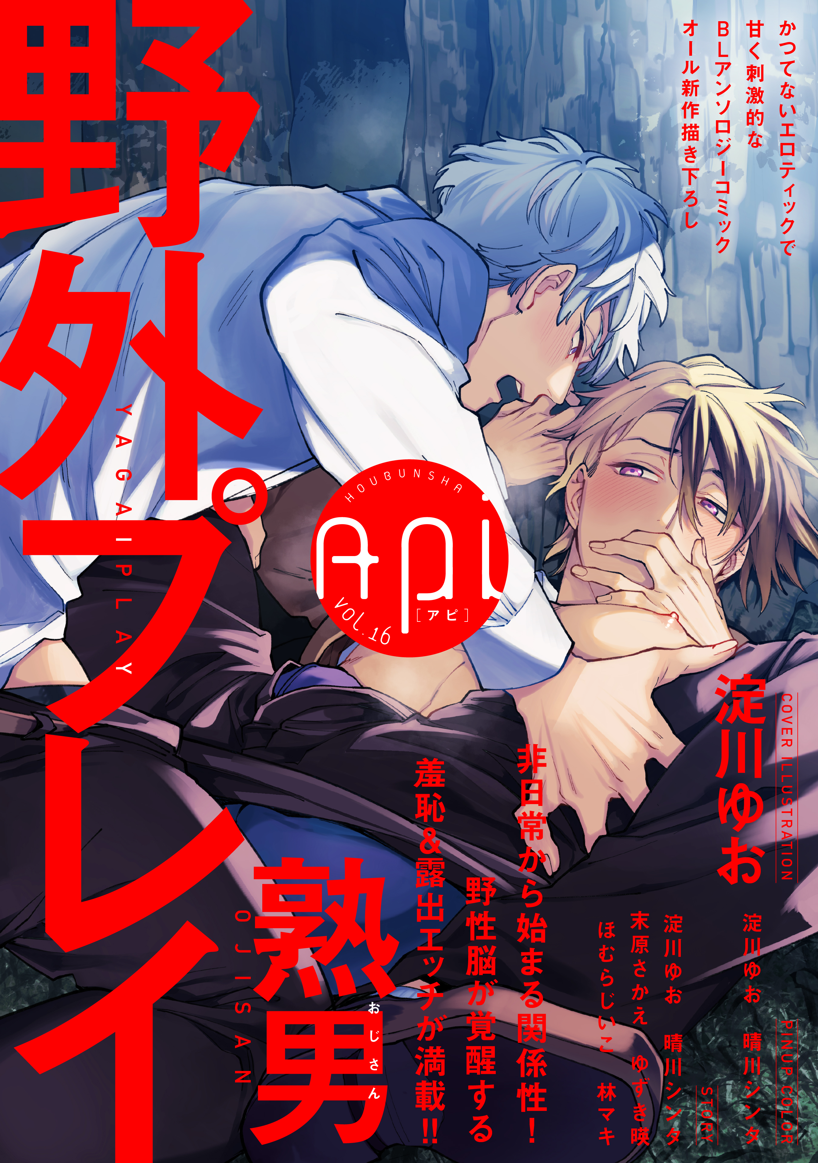 ａｐｉ アピ 電子版 ｖｏｌ １６ 野外プレイ特集 最新刊 漫画 無料試し読みなら 電子書籍ストア ブックライブ