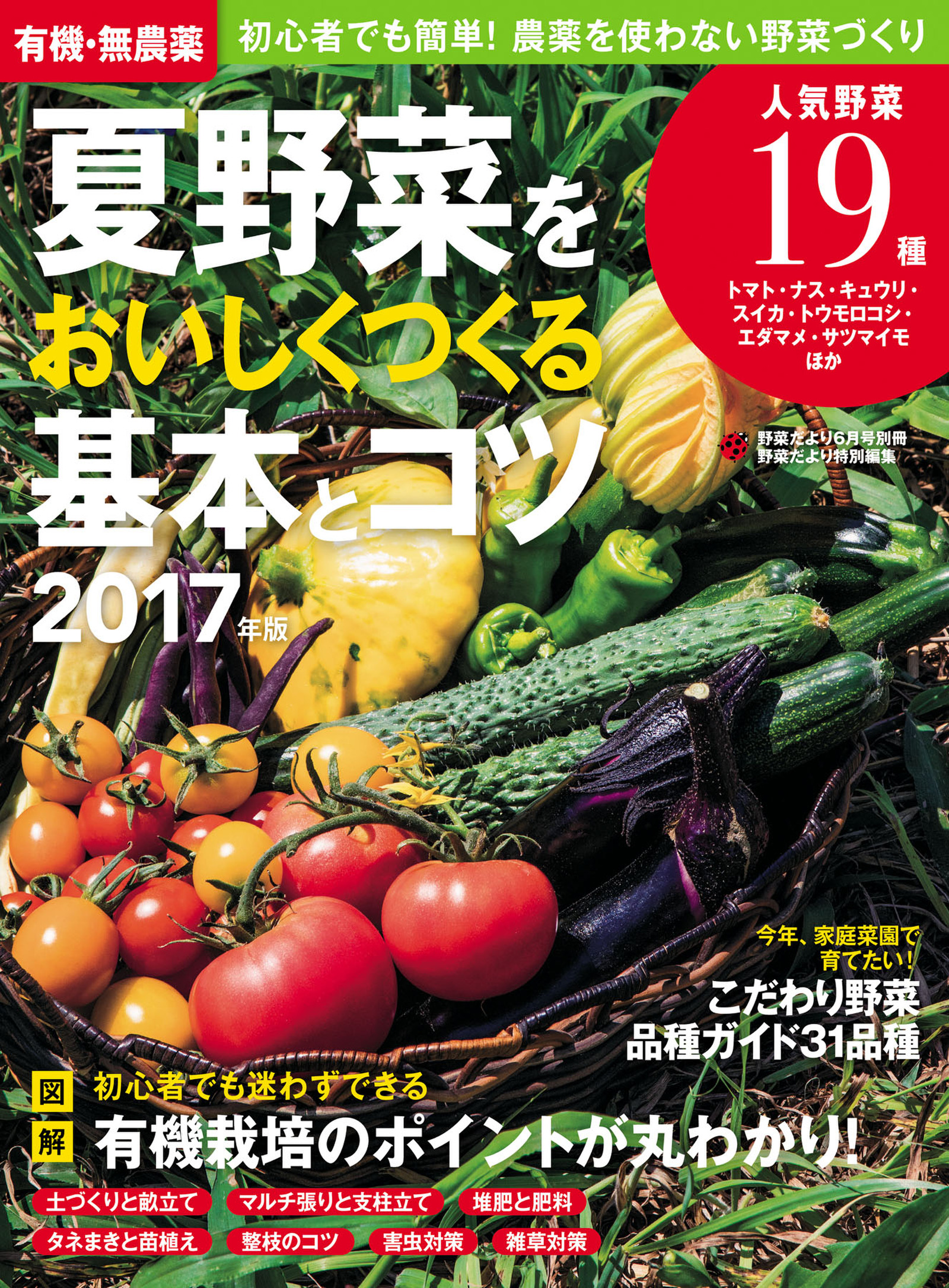 プランターで有機栽培 1 土つくり・タネとり・苗つくり 安藤康夫 著