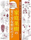 いまの説明 わかりやすいね と言われるコツ 漫画 無料試し読みなら 電子書籍ストア ブックライブ