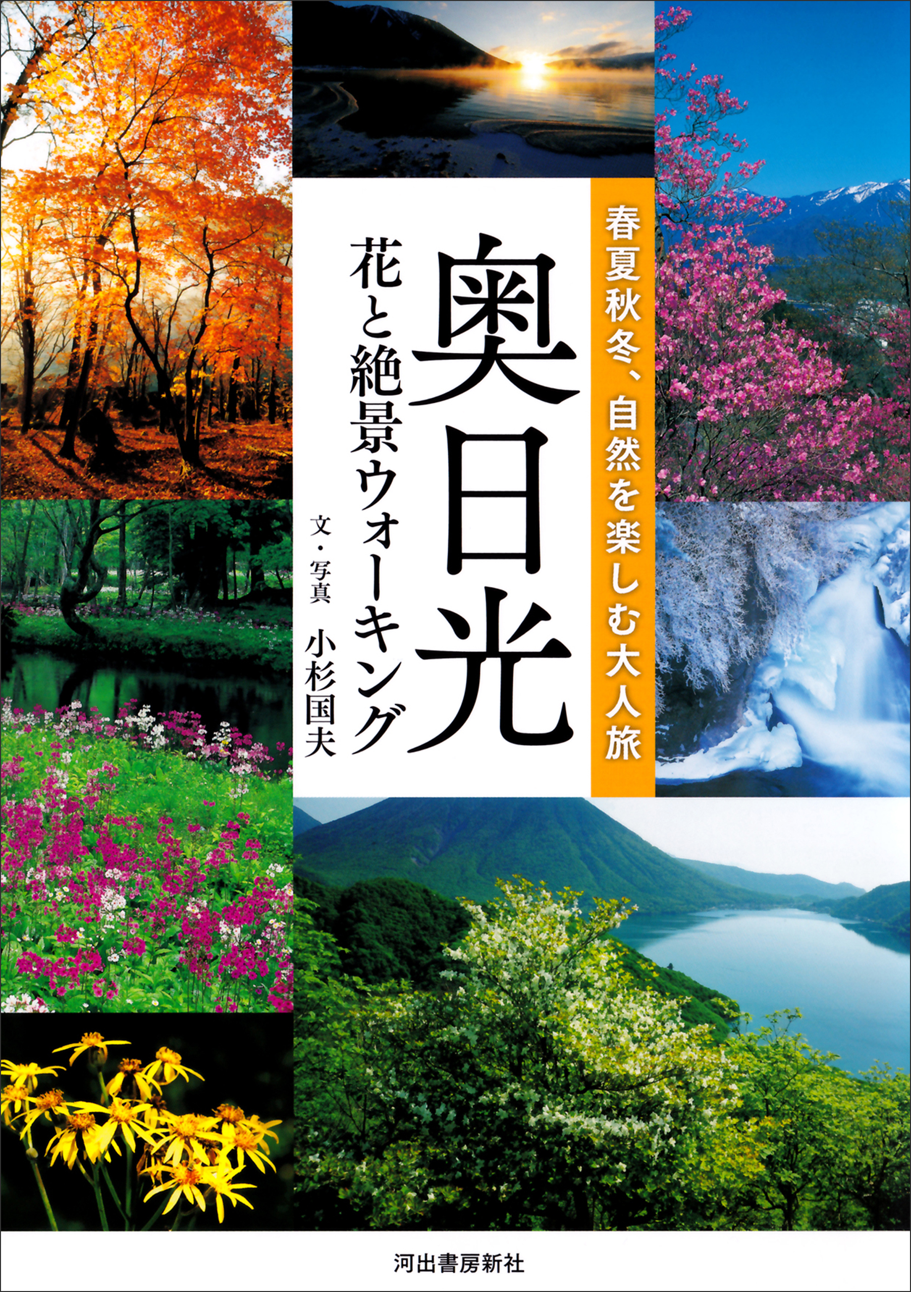 奥日光 花と絶景ウォーキング 春夏秋冬 自然を楽しむ大人旅 小杉国夫 漫画 無料試し読みなら 電子書籍ストア ブックライブ