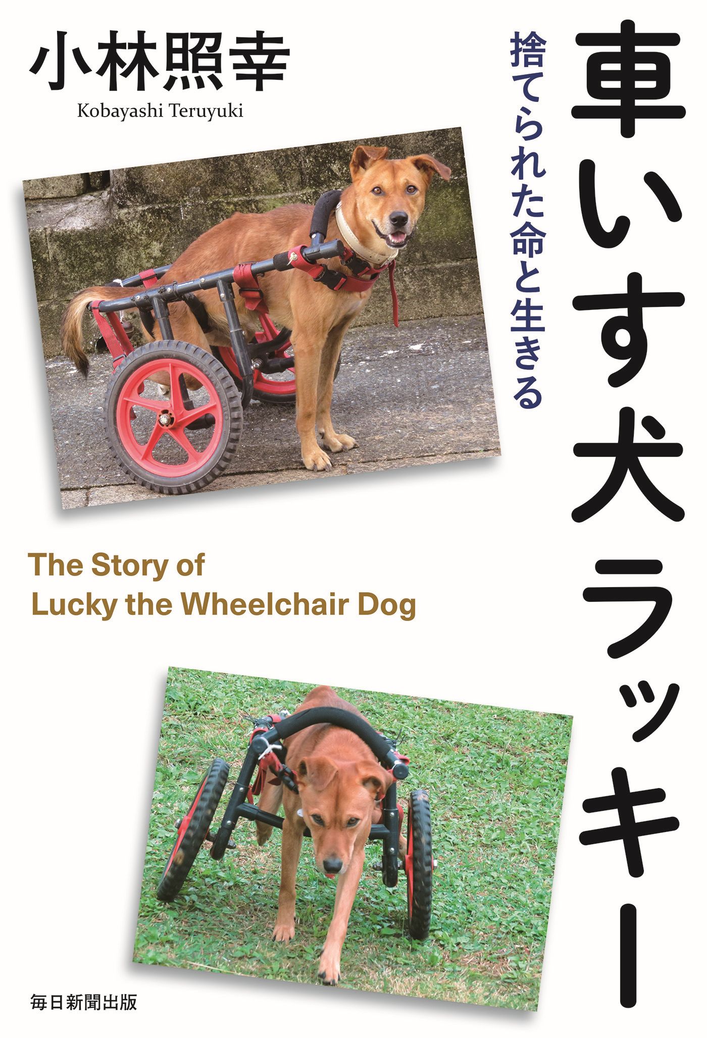 車いす犬ラッキー 毎日新聞出版 捨てられた命と生きる 漫画 無料試し読みなら 電子書籍ストア ブックライブ