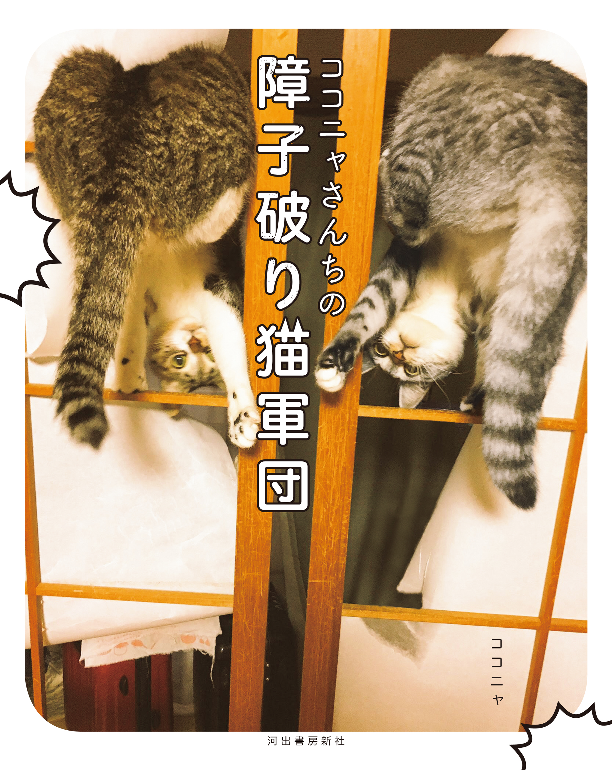 ココニャさんちの障子破り猫軍団 漫画 無料試し読みなら 電子書籍ストア ブックライブ