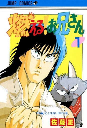 燃える お兄さん 1 佐藤正 漫画 無料試し読みなら 電子書籍ストア ブックライブ