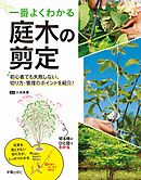 ミニ旋盤マスターブック 基礎から応用までよくわかる 漫画 無料試し読みなら 電子書籍ストア ブックライブ