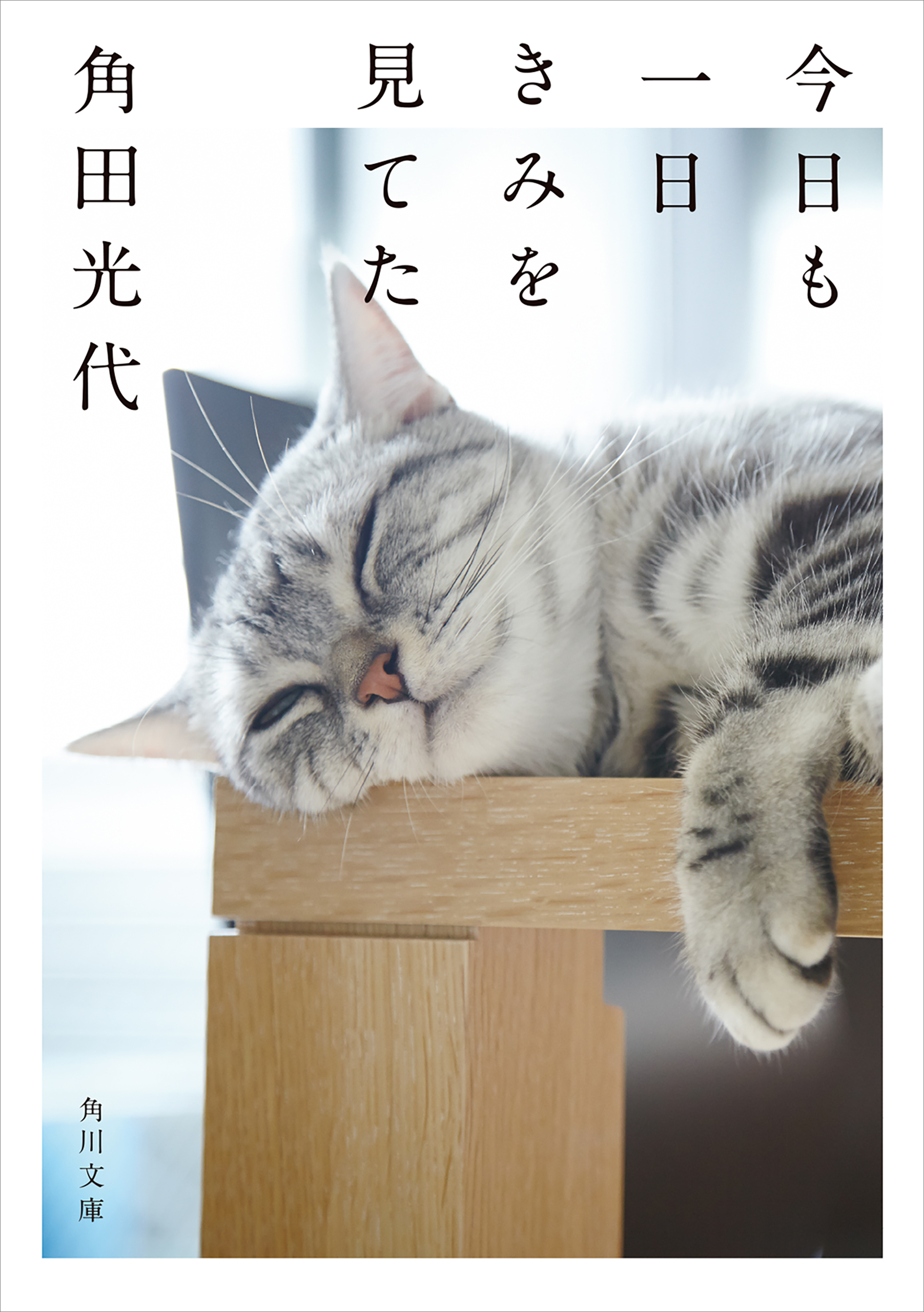 www.haoming.jp - 恋愛運 健康第一 猫 価格比較