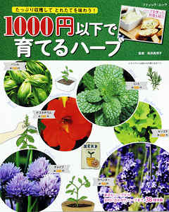 1000円以下で育てるハーブ