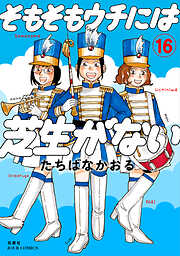 そもそもウチには芝生がない