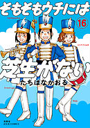 そもそもウチには芝生がない ： 16