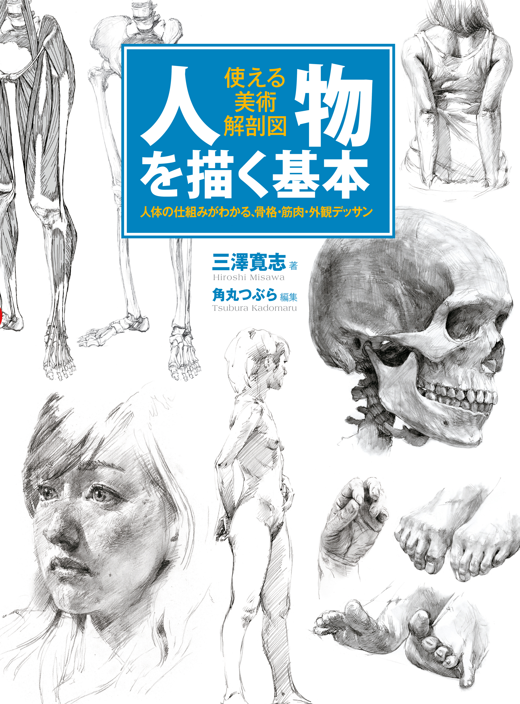 人物を描く基本　使える美術解剖図　三澤寛志/角丸つぶら　漫画・無料試し読みなら、電子書籍ストア　ブックライブ