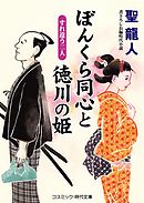 ぼんくら同心と徳川の姫　すれ違う二人