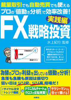 FX戦略投資 実践編