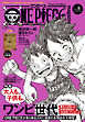 ONE PIECE magazine Vol.8