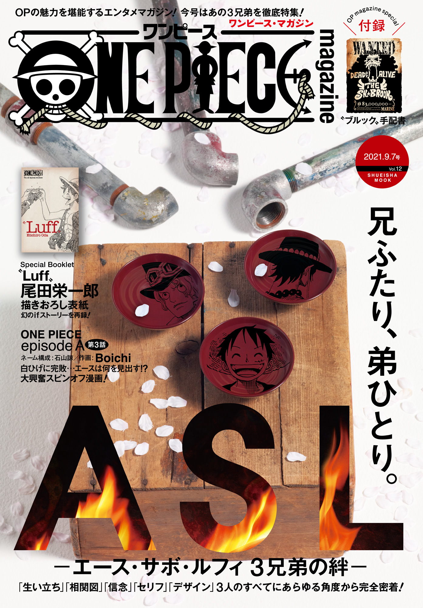 ONE PIECE magazine Vol.12 - 尾田栄一郎 - 漫画・無料試し読みなら ...