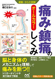 運動・からだ図解 痛み・鎮痛のしくみ