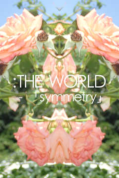 THE WORLD - symmetry #flowers of june