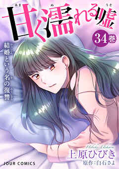 甘く濡れる嘘～結婚という名の復讐～ ： 34