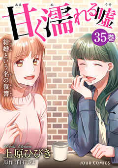 甘く濡れる嘘～結婚という名の復讐～ ： 35