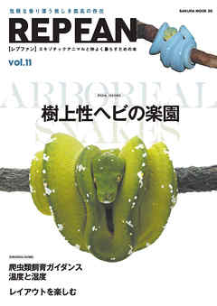 REPFAN vol.11