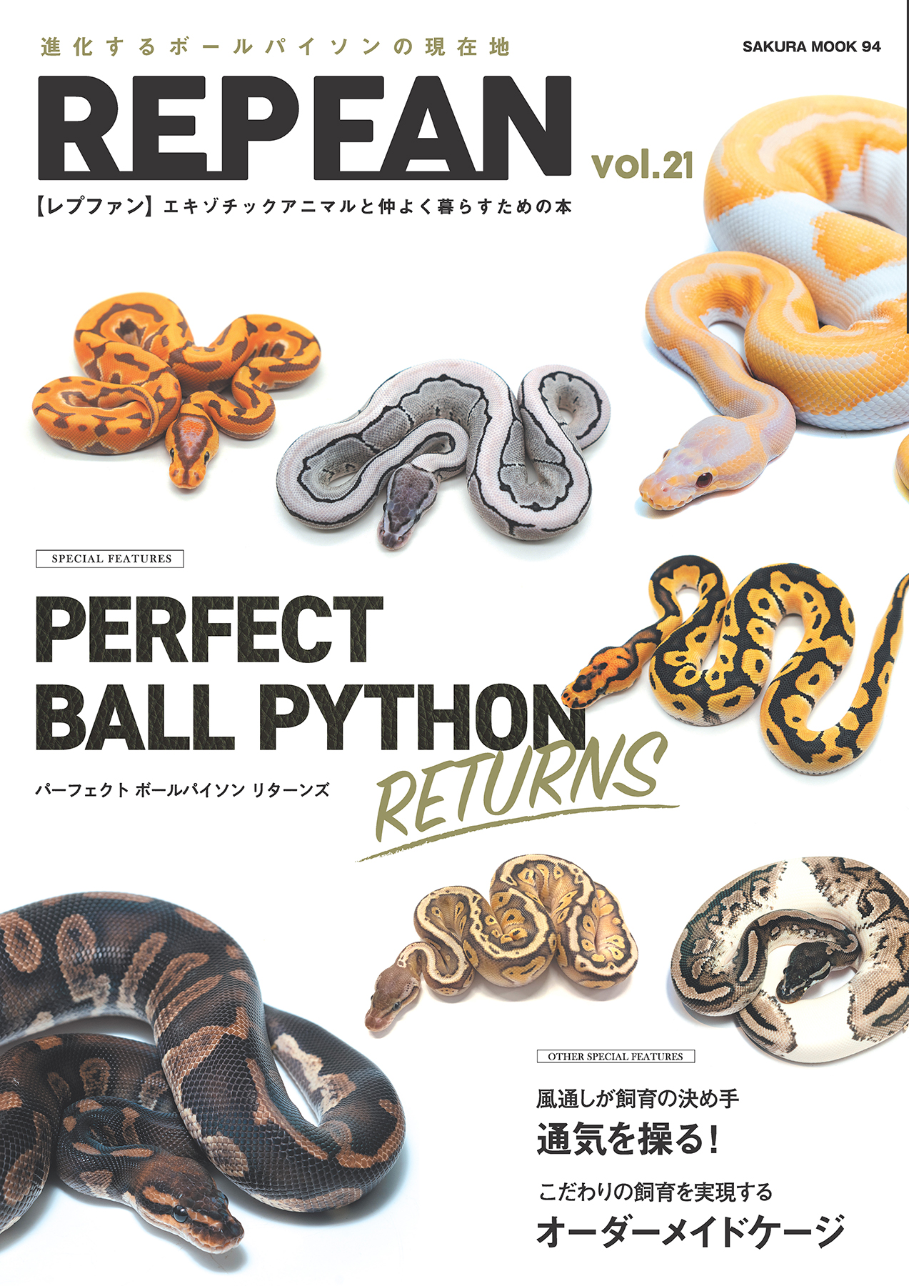 The Ultimate Ball Python 爬虫類 洋書 ボールパイソン洋書 - blogs