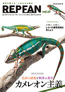 REPFAN vol.27