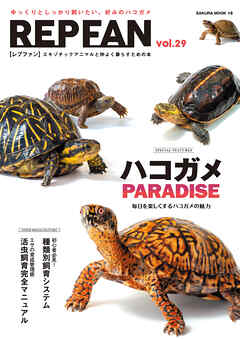 REPFAN vol.29