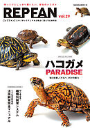 REPFAN vol.29