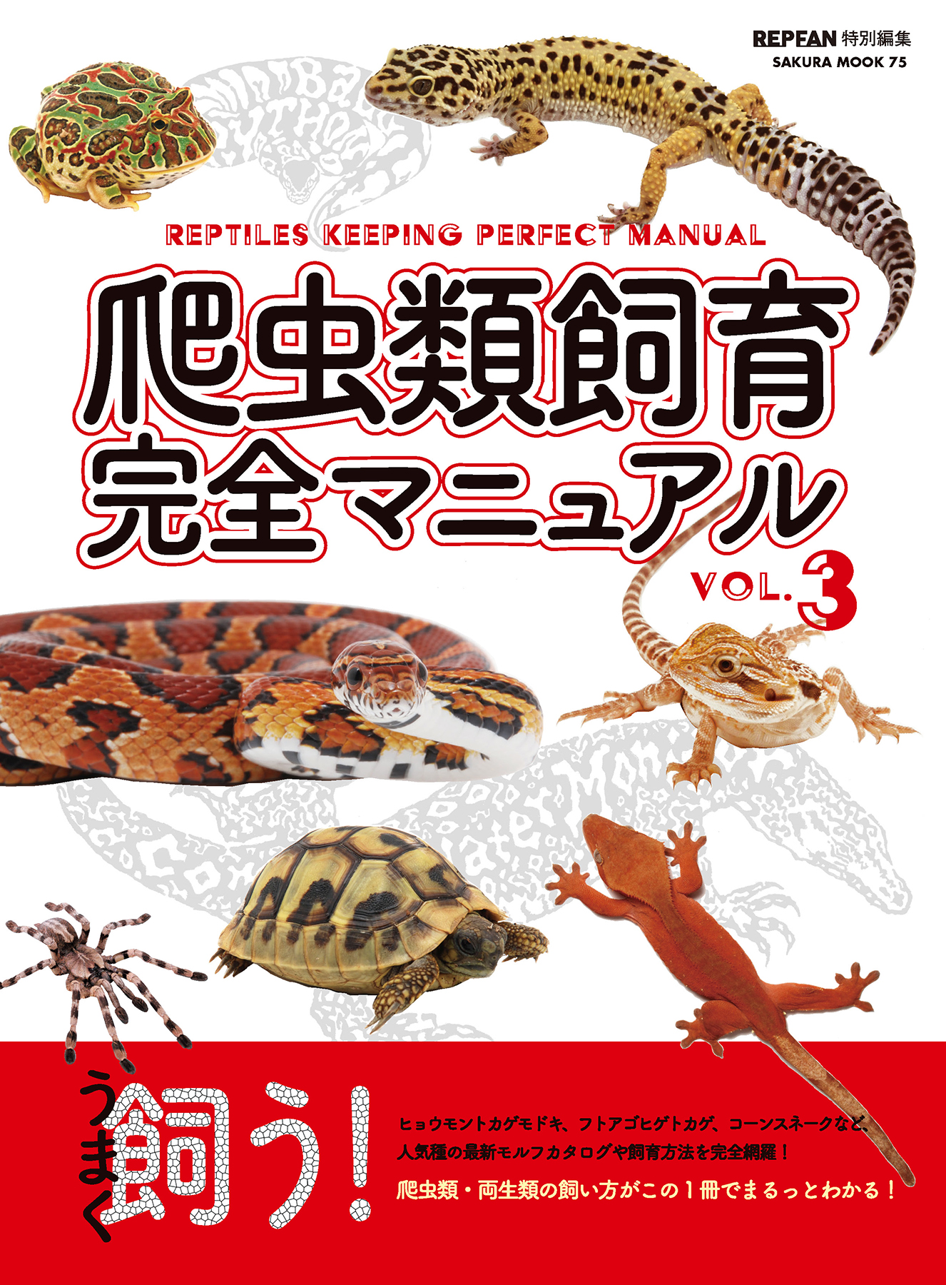 おしゃれ人気 リクガメ (飼い方マニュアル) 飼い方マニュアル2