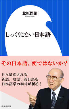 しっくりこない日本語（小学館新書）