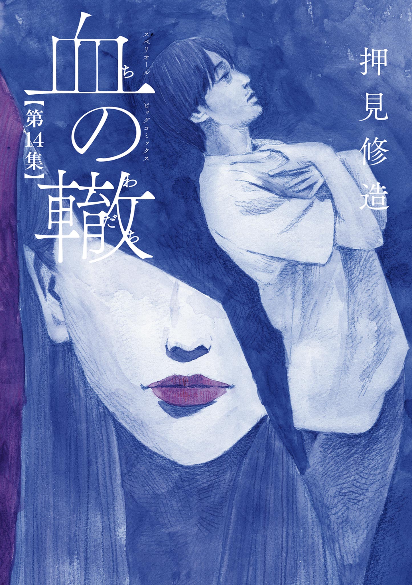 血の轍 14 - 押見修造 - 漫画・ラノベ（小説）・無料試し読みなら