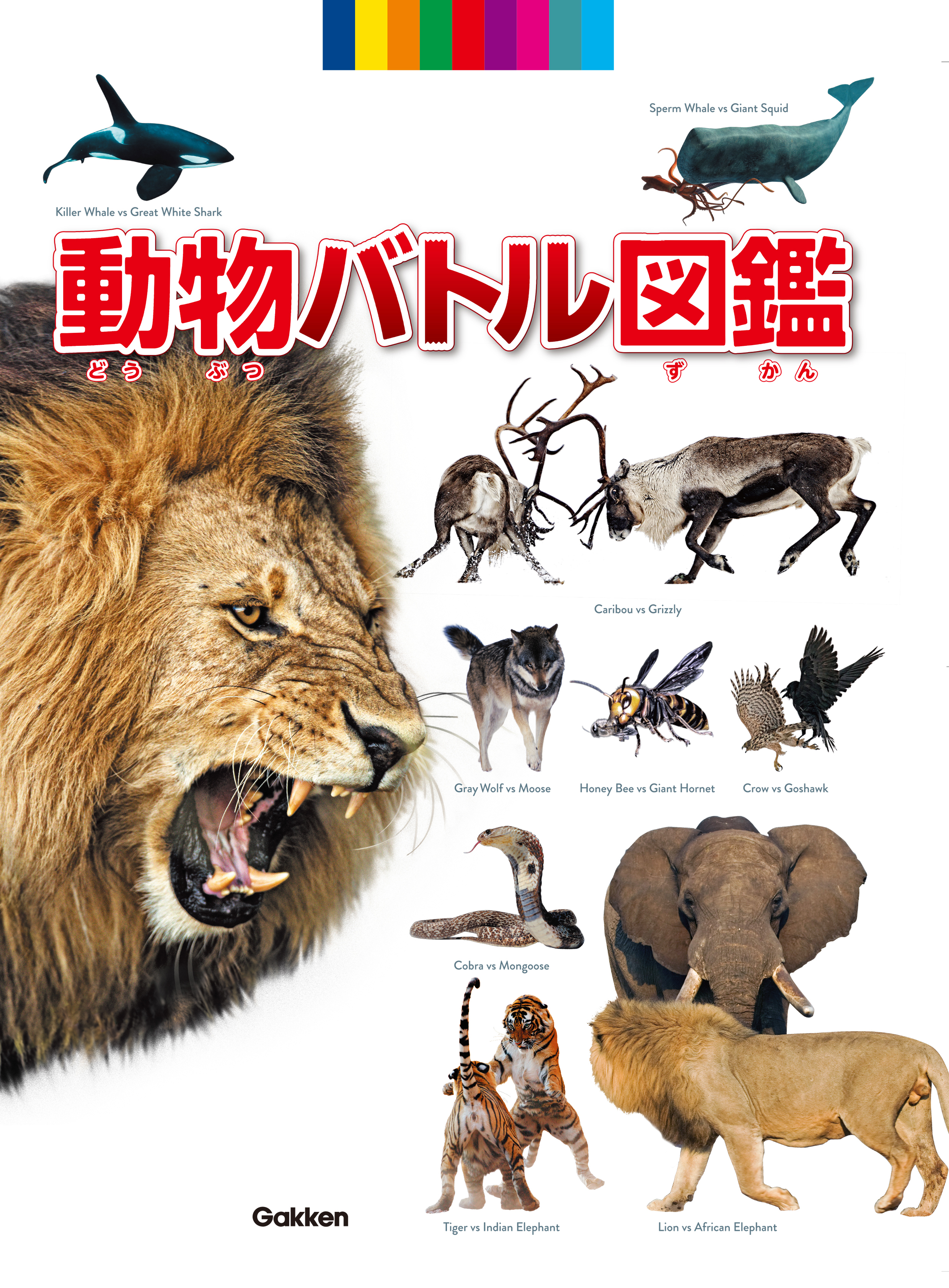 動物バトル図鑑 漫画 無料試し読みなら 電子書籍ストア ブックライブ