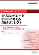 シリコンバレーをヒントに考える「働き方」シフト（KAIKAレポート）　―その仕事・採用・キャリア・評価・マネジメントは何が違うのか―