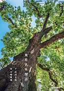 東京名木探訪