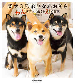 柴犬３兄弟 ひなあおそら　わんダフルに生きる31の言葉