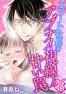 エリート社長のアブナイ視線と甘い罠(3)