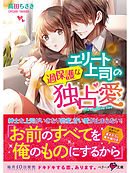 エリート上司の過保護な独占愛