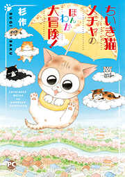 メチャイロちいき猫やってます！