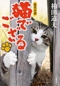 猫でござる ： 1