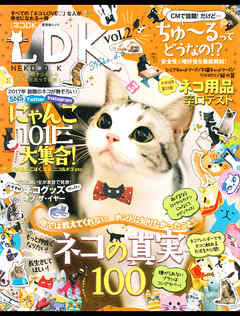 晋遊舎ムック ネコＤＫ　ｖｏｌ．２