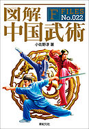 図解 中国武術