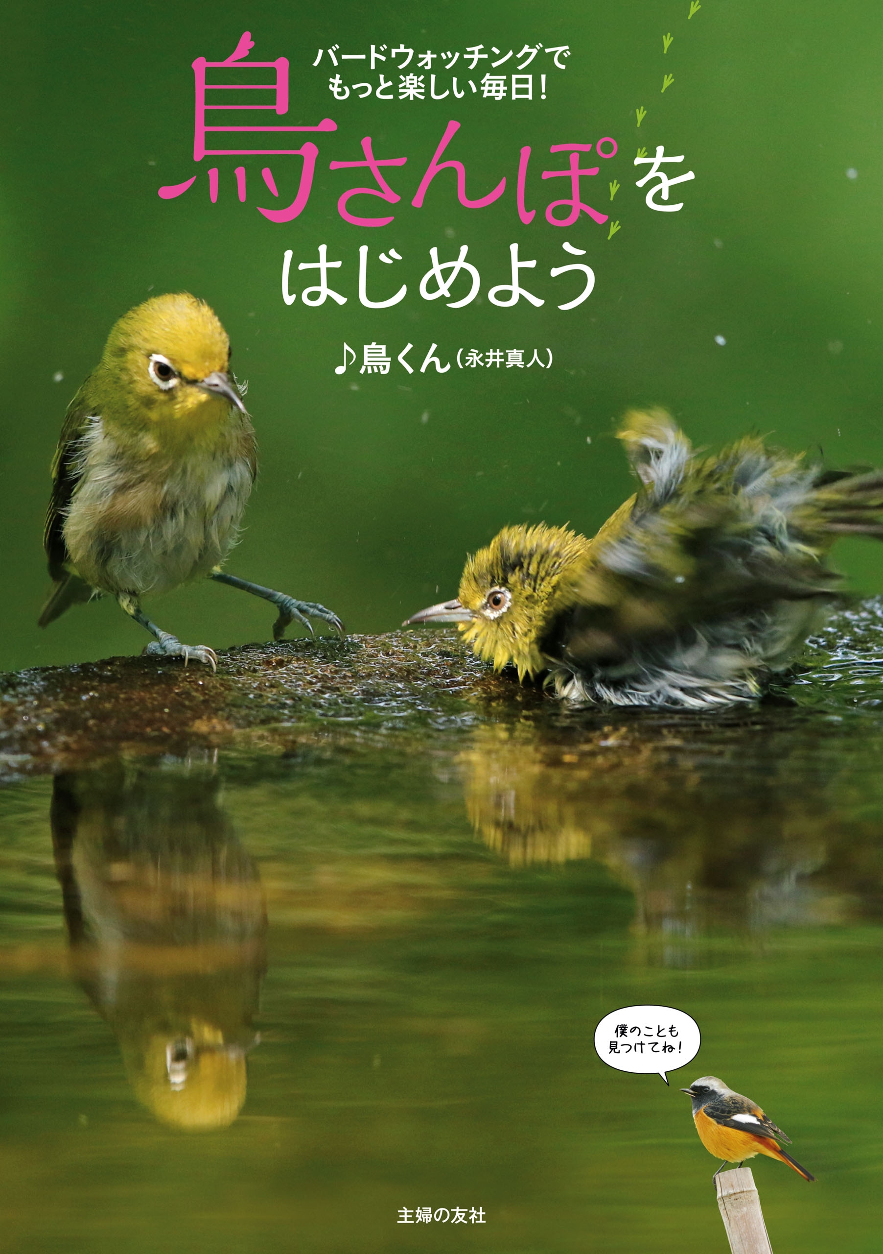 鳥さんぽをはじめよう 鳥くん 永井真人 漫画 無料試し読みなら 電子書籍ストア ブックライブ