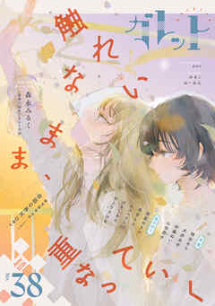 ガレット No.38