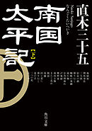 南国太平記　下