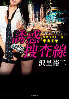 誘惑捜査線　警察庁風紀一係 東山美菜