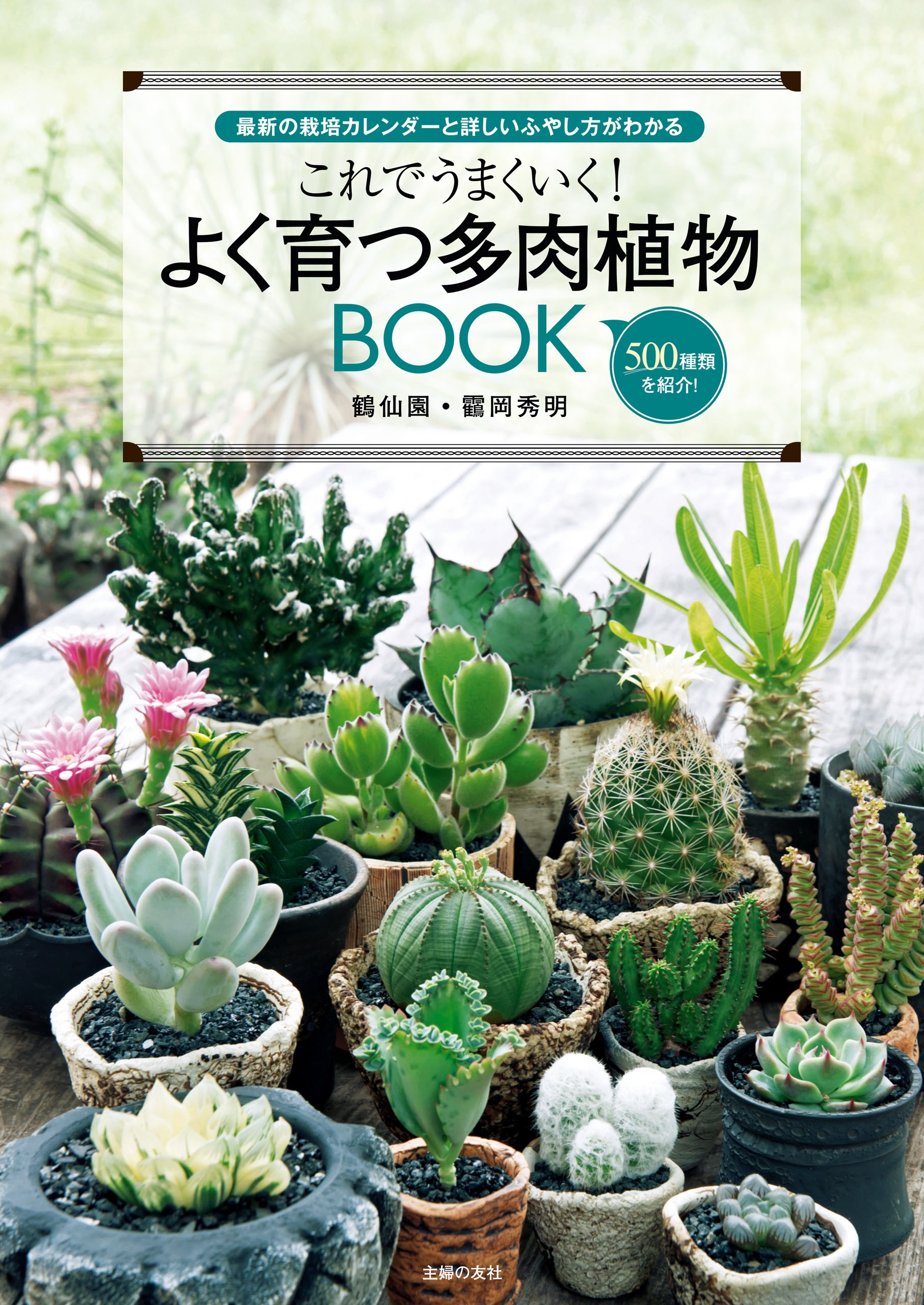 これでうまくいく よく育つ多肉植物ｂｏｏｋ 漫画 無料試し読みなら 電子書籍ストア ブックライブ