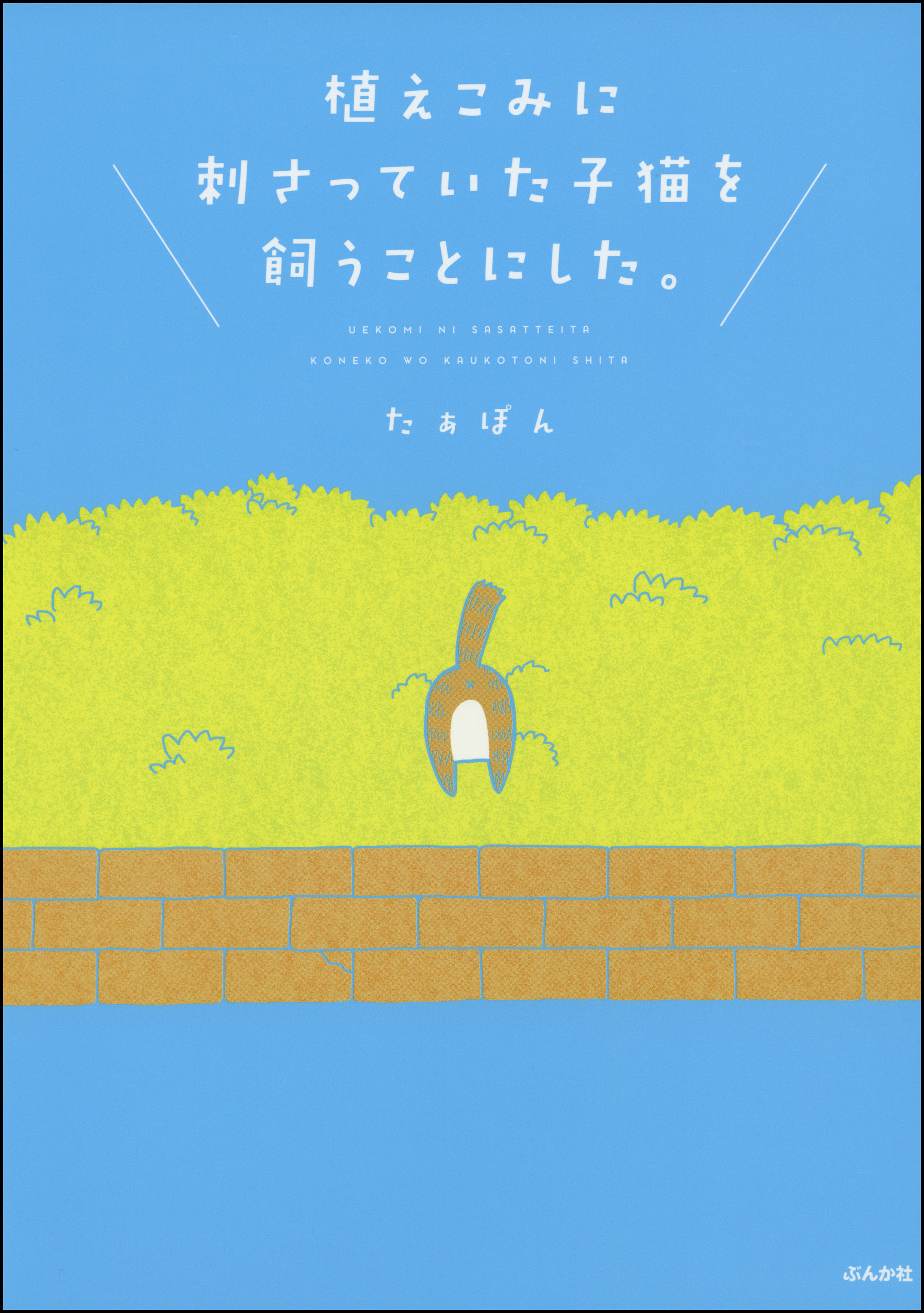 植えこみに刺さっていた子猫を飼うことにした 漫画 無料試し読みなら 電子書籍ストア ブックライブ