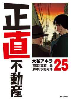 正直不動産 25