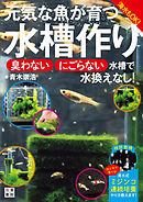 元気な魚が育つ水槽作り