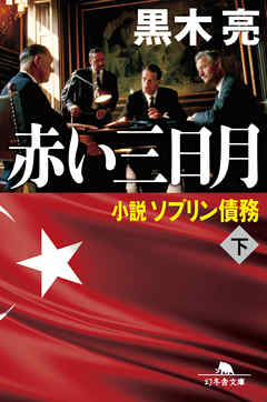 赤い三日月 小説ソブリン債務(下)