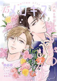 メロキス-mellow kiss-