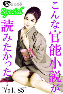 こんな官能小説が読みたかった！vol.85